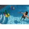 Jeu De Lancer Cactus Pour Piscine Kerlis