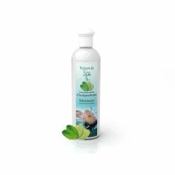 Parfum De Spa à Base D'huiles Essentielles D'Eucalyptus Et Menthe 250 Ml -Intex Soldes Magasin parfum spa huiles essentielles eucalyptus menthe camylle 250 ml 2