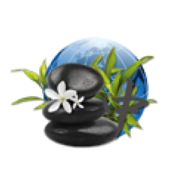 Parfum De Spa à Base D'huiles Essentielles Orient 250 Ml -Intex Soldes Magasin parfum spa huiles essentielles orient camylle 250 ml 2